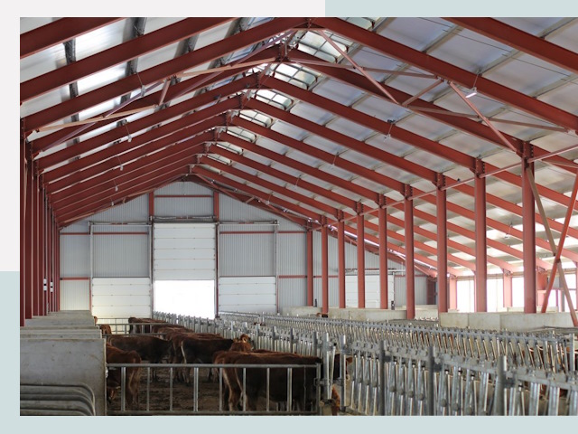 Строительство коровников в Партизанске